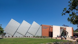 Carolyn Campagna Kleefeld Contemporary Art Museum