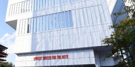 Lotty Rosenfeld: Disobedient Spaces