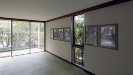 Australian Fine Arts / David Pestorius