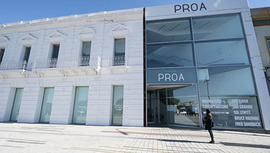 Fundación PROA