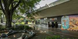 FAAP in the MAM Collection: The Artist's Formation