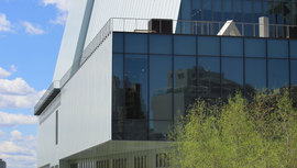 Whitney Biennial