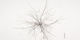 Overgrown Neuron
