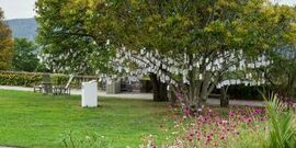 Power Flower: Curative Flora