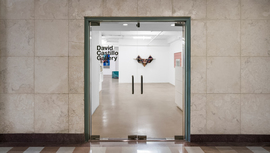 David Castillo Gallery