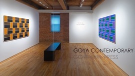 Goya Contemporary