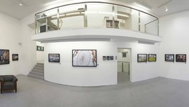 Faur Zsofi Gallery