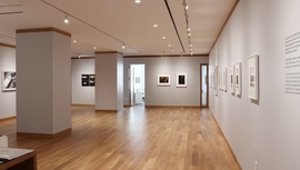 Howard Greenberg Gallery