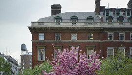Americas Society