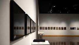 Texas State Galleries (TXST)