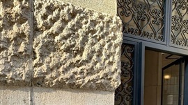 Nel Silenzio delle creature