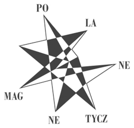Pola Magnetyczne