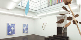 El sueño de la serpiente