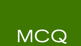 MCQ Fine Art