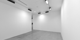 Black Swan in Three Variations