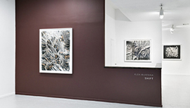 EUQINOM Gallery