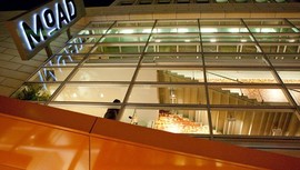 Museum of the African Diaspora