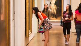 University Research Gallery, Harvard Art Museums