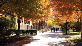 The Rubelle and Norman Schafler Gallery | Pratt Institute