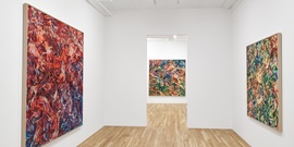 Improvisational Nature: The Weavings and Drawings of Silvia Heyden