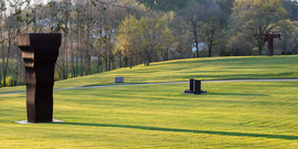 Limina: Cosmopolitan Chicken Project 30