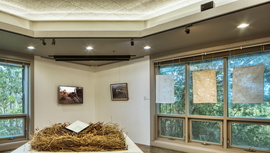 AIRIE Nest Gallery