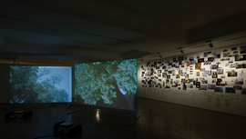 Gallery MMB