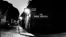 The Horse Hospital