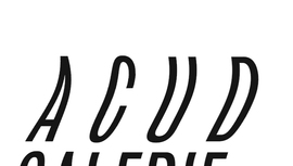 ACUD Gallery