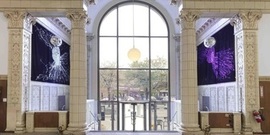 Myth of the Organic City