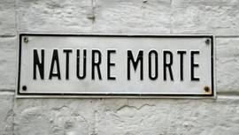 NATURE MORTE | Vasant Vihar