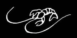 Who’s Afraid of _______?