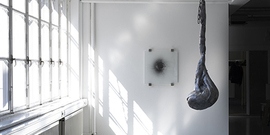 SHED / Horizons of Rawness