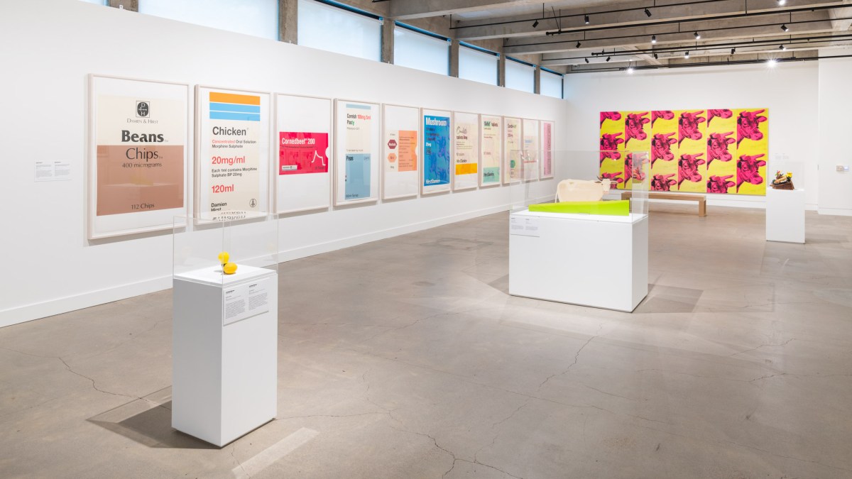 Installation view of The Art of Food: From the Collections of Jordan D. Schnitzer and His Family Foundation, Image: Mario Gallucci Photography