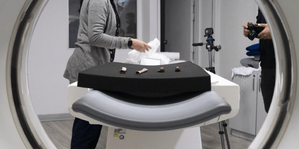 Tomographic Exploration - Cristhian Avila Cipriani