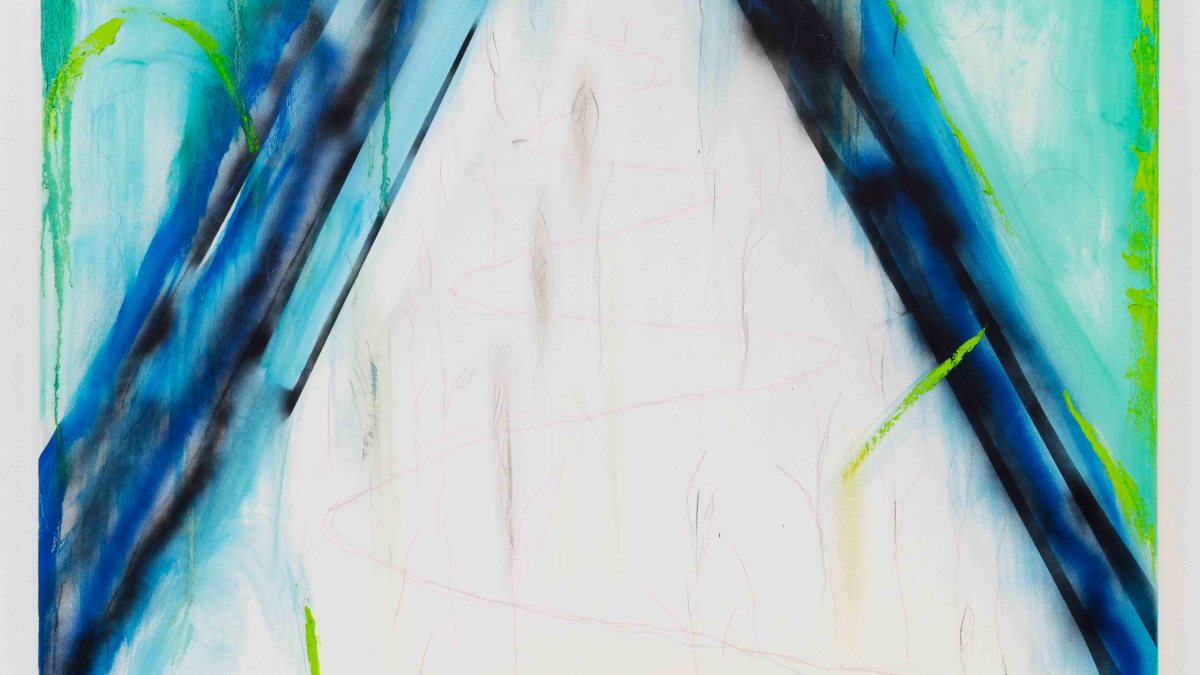 George Nelson Preston, From the Ayahuasca Notebook: The Huni Kuin's House of the Blue Mountain, 2024.