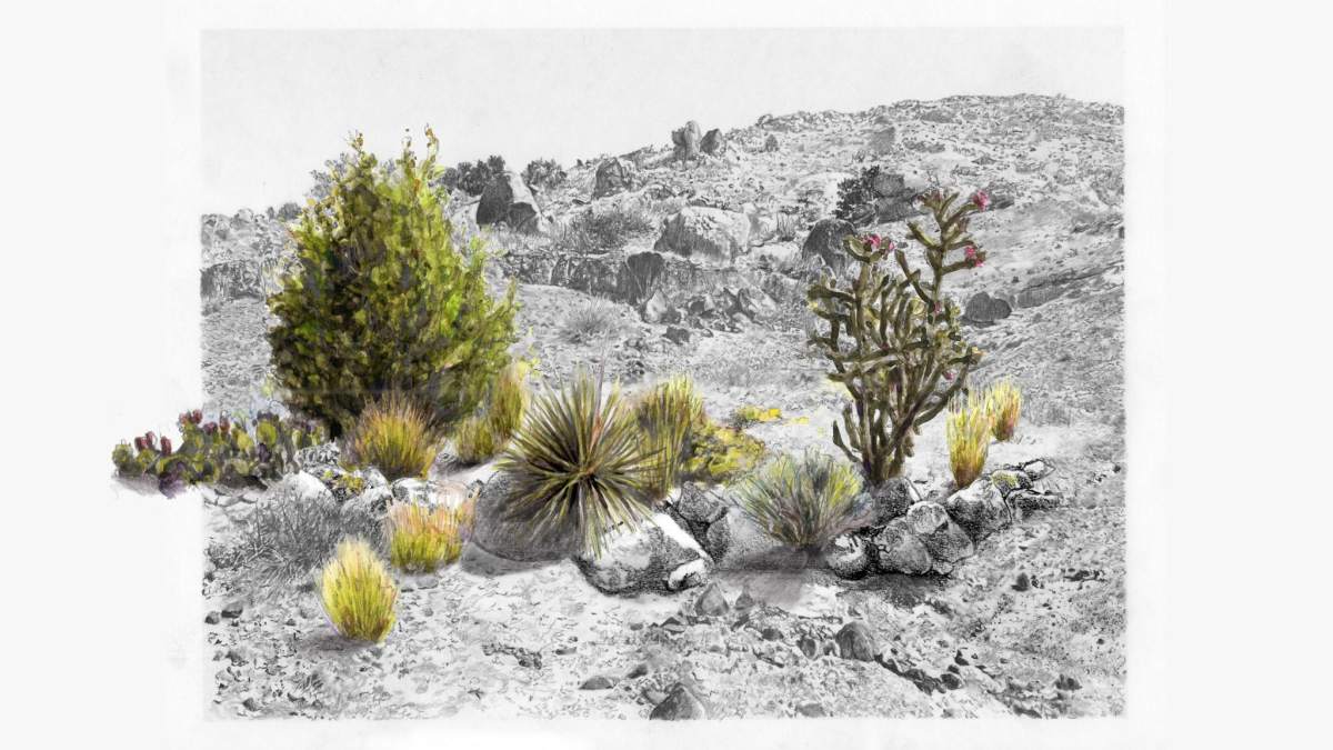 Cedra Wood, "500 Dams – Towards a Return of Anaya Springs," 2024, still from digital animation (from graphite and watercolor drawings), with sound, 1 minute, 16 seconds, courtesy of the artist and Survival Kit Collective