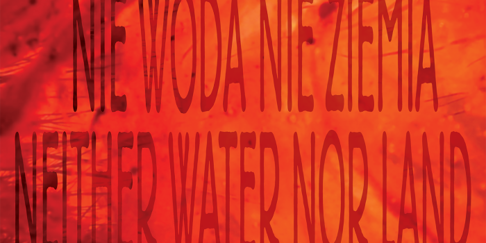 Philipp Modersohn, the Breitenfeldermoor, the Nambigirwa Wetland, we współpracy z Ayumi Rahn, John Omara, Mary Namukose, Wilma Lukatsch, Die Erschöpften [The Exhausted] , 2024